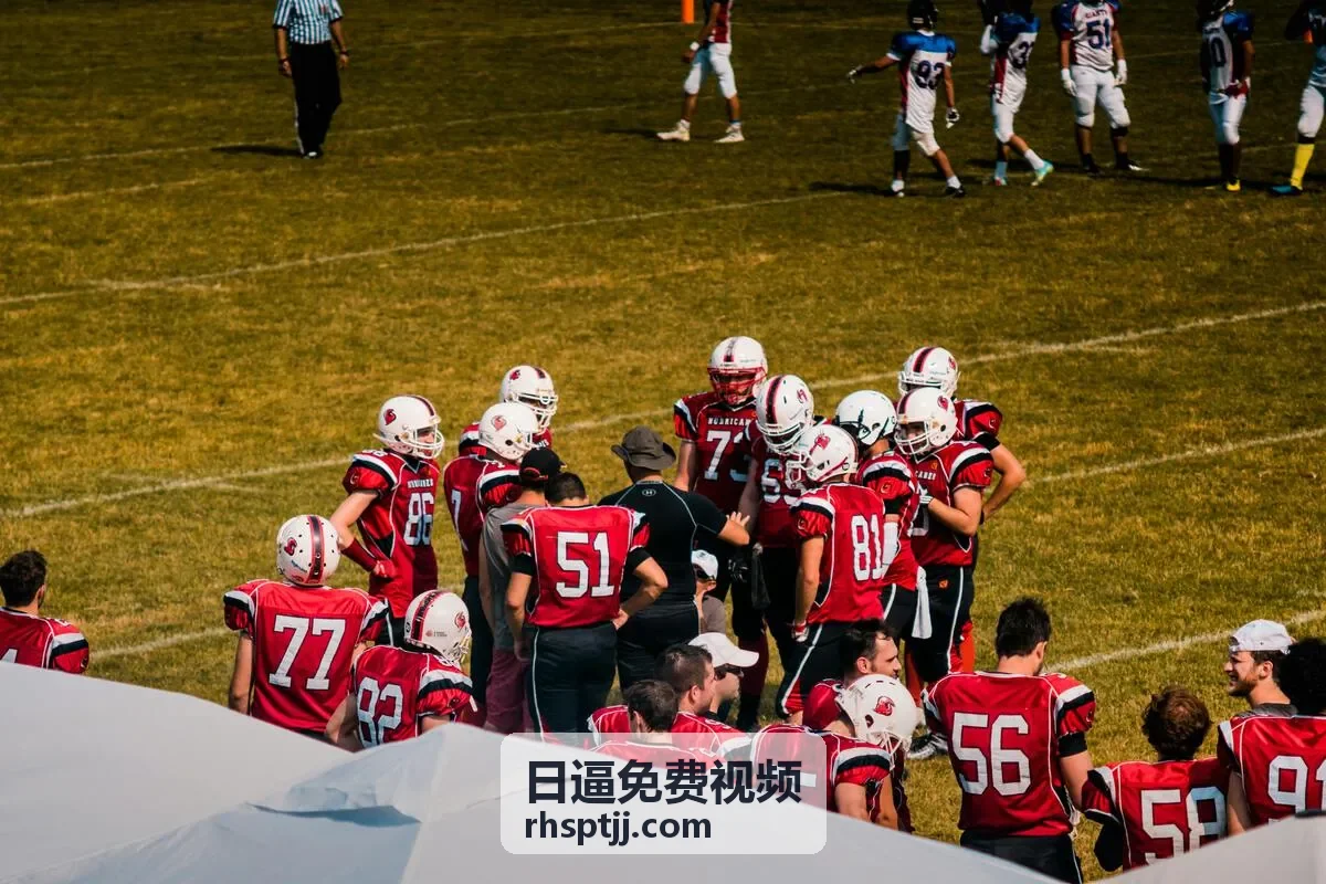 日逼免费视频精选片单封面